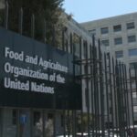 Food-And-Agriculture-Organization-FAO-Internship-Program