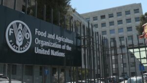 Food-And-Agriculture-Organization-FAO-Internship-Program