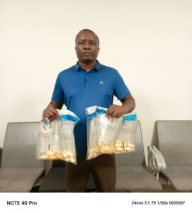 Ezemokwe Chukwuebuka Christian