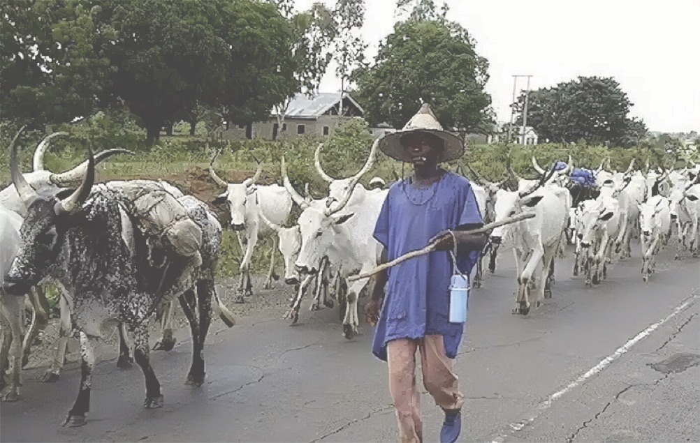 Herder