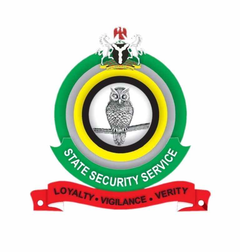 DSS logo