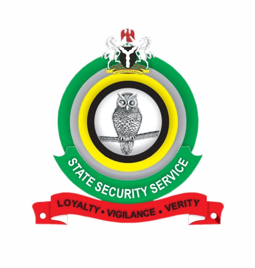 DSS logo
