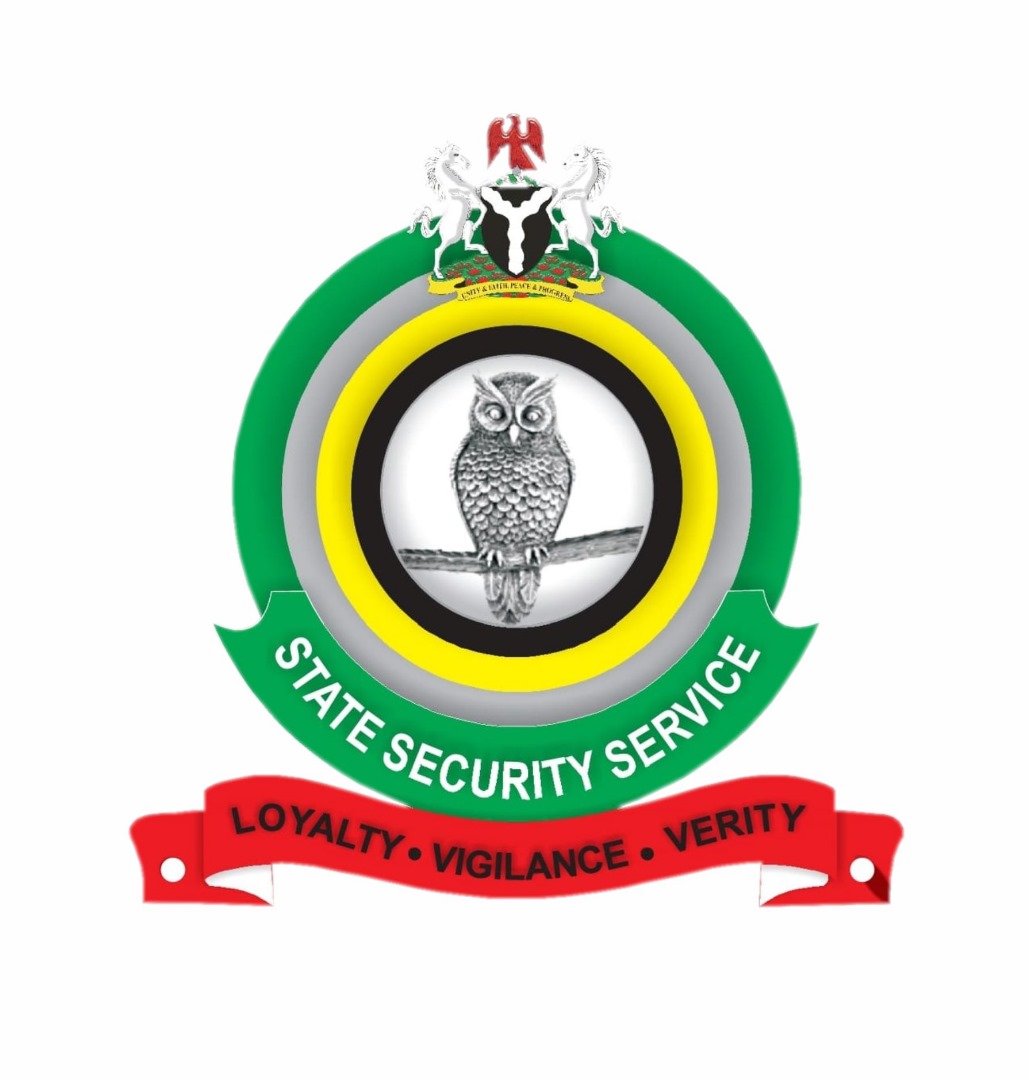 DSS logo
