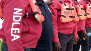 NDLEA-1024×576-1-768×432-1