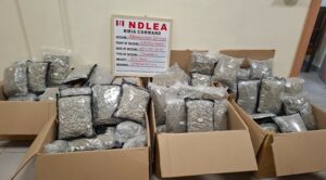 NDLEA