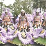Naija Cultural Carnival