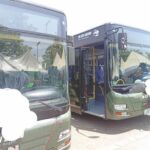 Some of the new metro buses