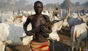 Armed herder