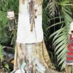 Voodoo-Economics-native-doctor