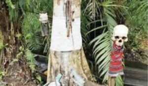 Voodoo-Economics-native-doctor