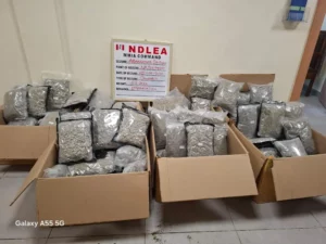 NDLEA