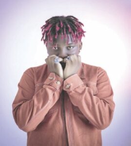 Wizka, Rybeena