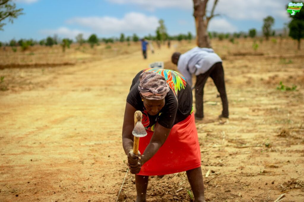 agriculture
