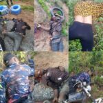 Suspected herdsmen kill 3 in Imo community, police begin manhunt