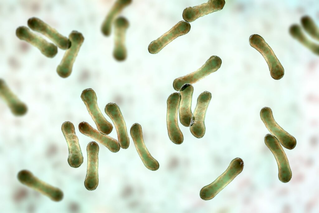 diphtheria_G_1386022794