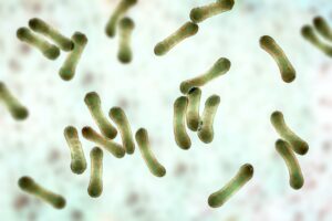 diphtheria_G_1386022794