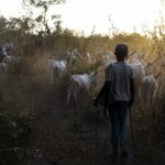 NIGERIA-UNREST-FARMING
