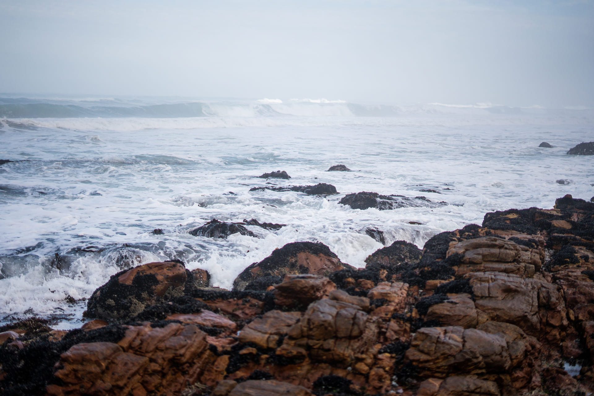 rocky-shoreline-cape-town