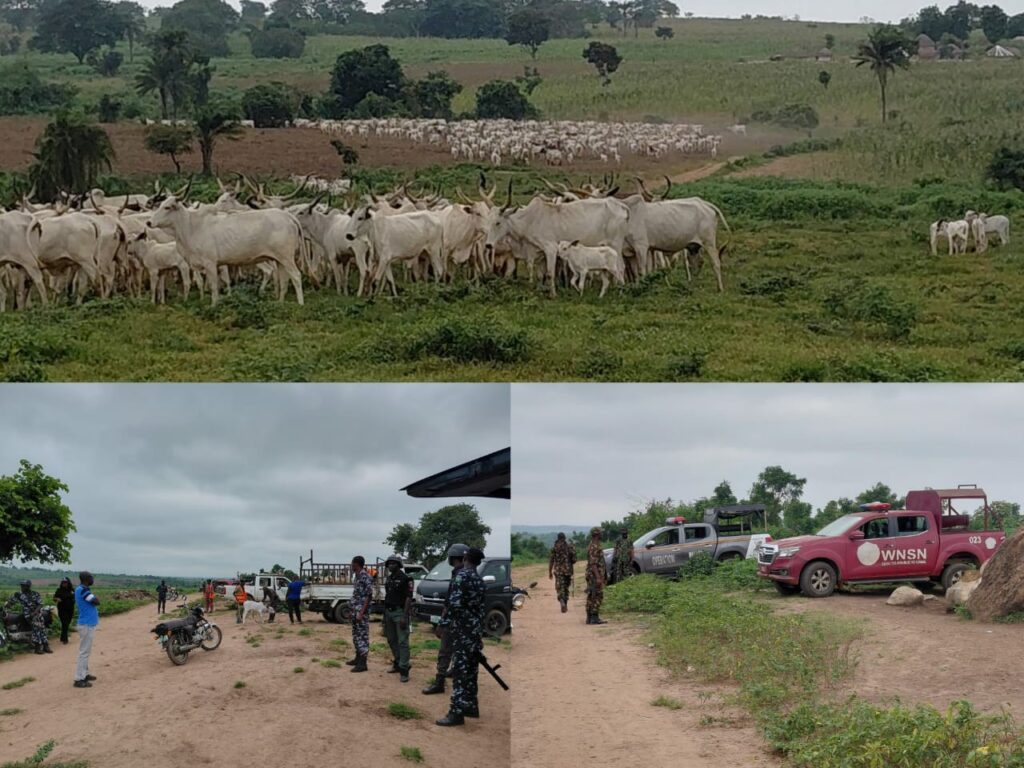 Herdsmen destroy 5.4 acres of cassava farm
