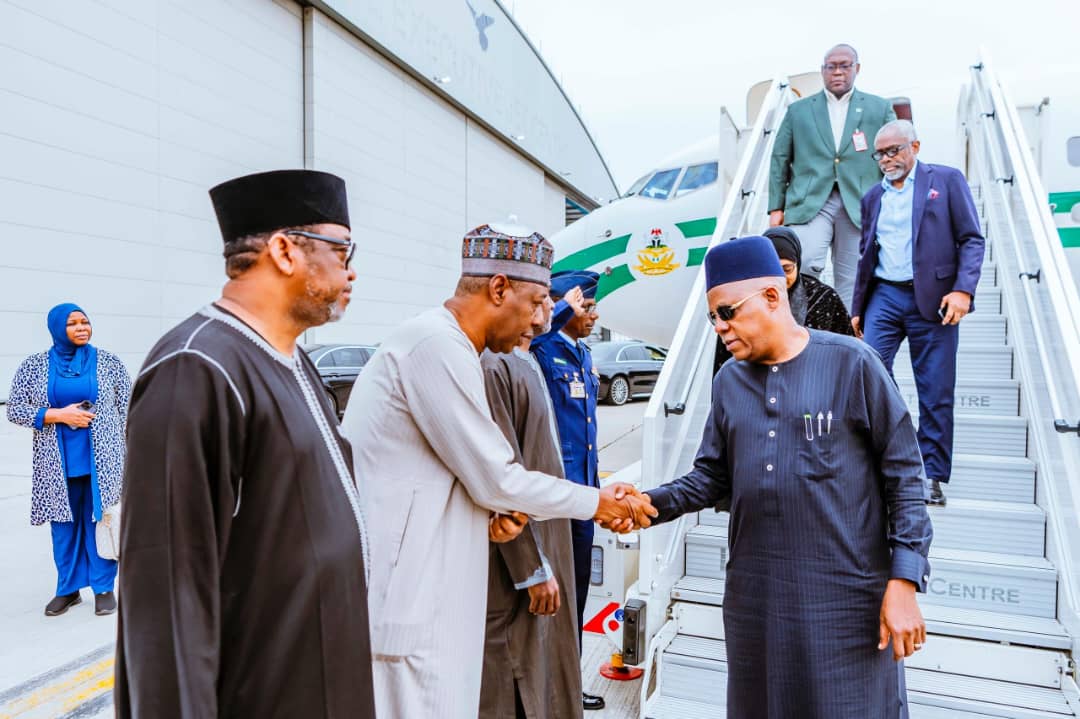 Vice President Kashim Shettima