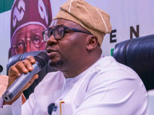 Minister of Power Chief Adebayo Adelabu