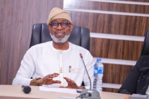 Minister Dele Alake