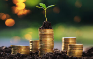 Investment ideas for success