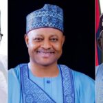 NPAF endorses Sani, Ribadu on Tinubu’s Northern gains