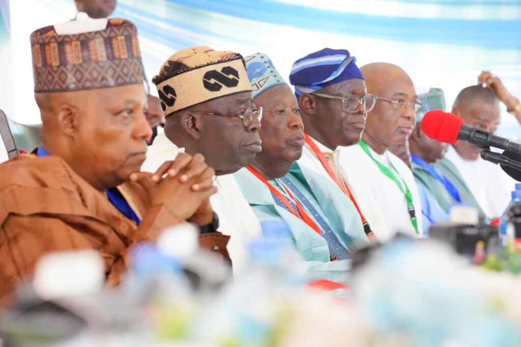 APC NEC: Fear grips NWC members over possible dissolution