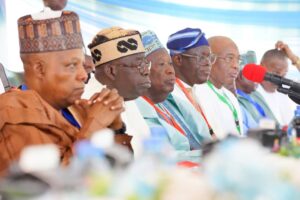 APC NEC: Fear grips NWC members over possible dissolution