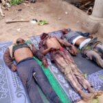 Lakurawa terrorist group establishes camp in Niger