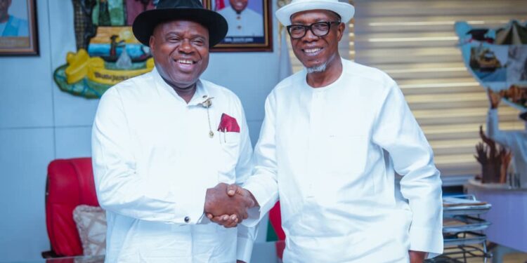 Diri decries endless 1999 Constitution Review
