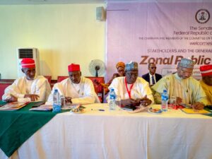 Constitution Review: Senate will address concerns – Deputy President