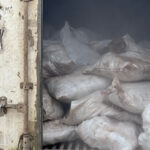 Customs seizes 10,603 donkey genitals, 213 parrot heads in Abuja