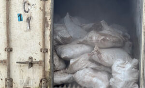 Customs seizes 10,603 donkey genitals, 213 parrot heads in Abuja