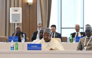 Minister of Budget and Economic Planning, Senator Abubakar Bagudu