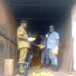 Ogun: Customs seizes 2,693 parcels of cannabis concealed in truck