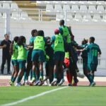 Super Falcons