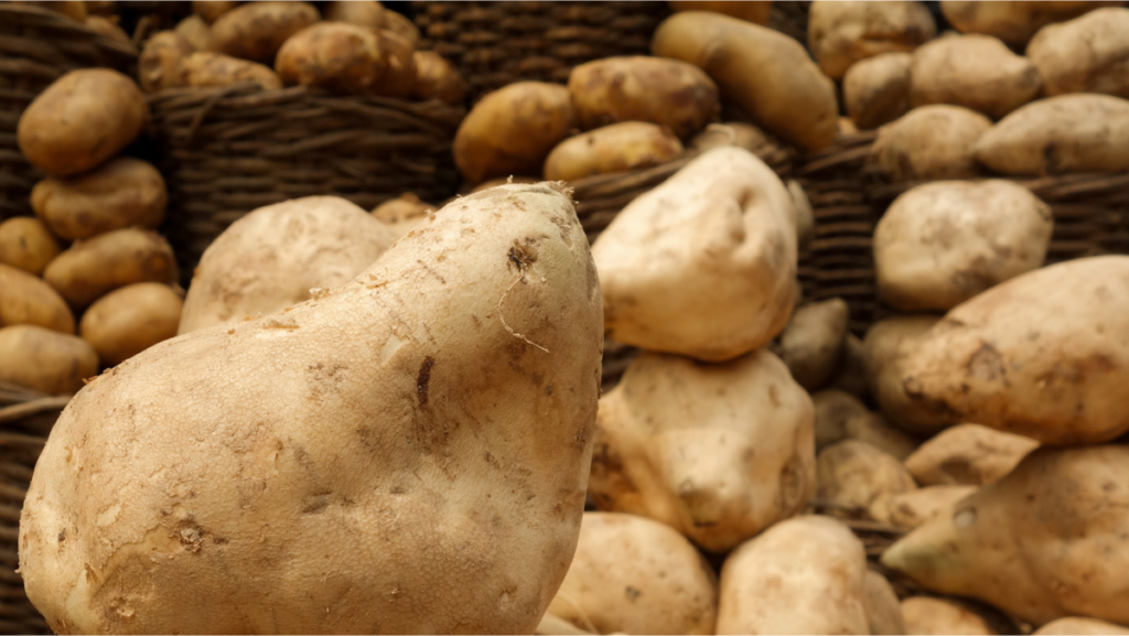 Sweet-potatoes