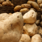 Sweet-potatoes