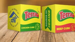 Terra-Seasoning-Cube-