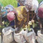 The women during the demonstration farming