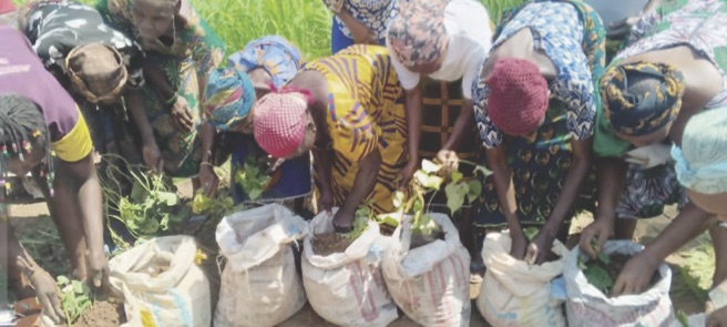 The women during the demonstration farming