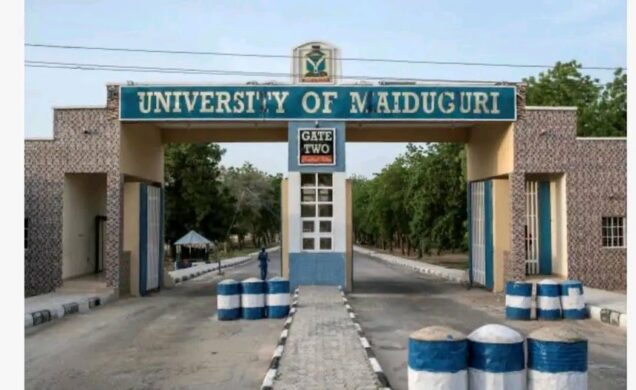 UPDATED: Tinubu renames University of Maiduguri after Buhari