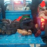 Black Sunday as 8 perish in auto crash in Lagos