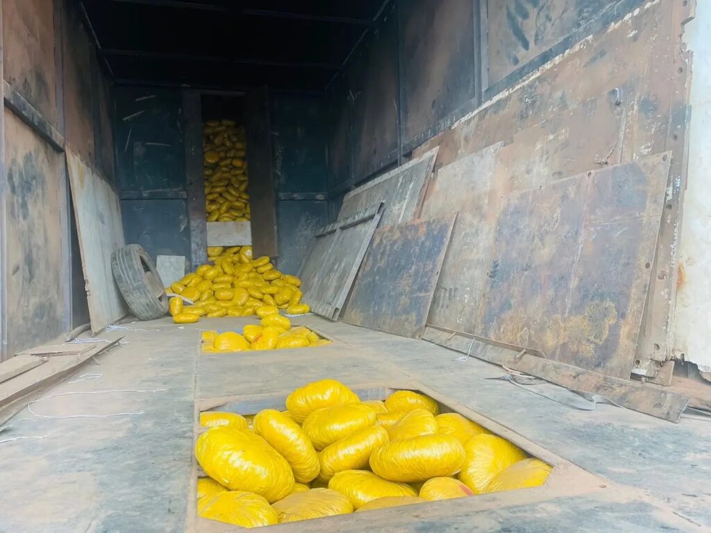 cannabis concealed under truck