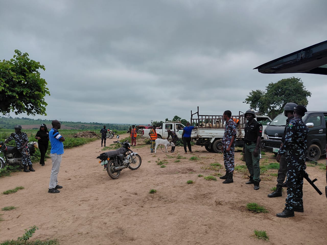 Herdsmen destroy 5.4 acres of cassava farm