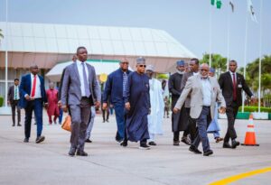 Vice President Kashim Shettima