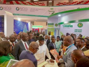 Lokpobiri, stakeholders plead for more investment in Nigeria’s oil industry