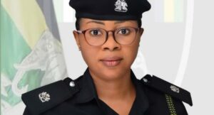 FCT Police Command spokesperson, Josephine Adeh